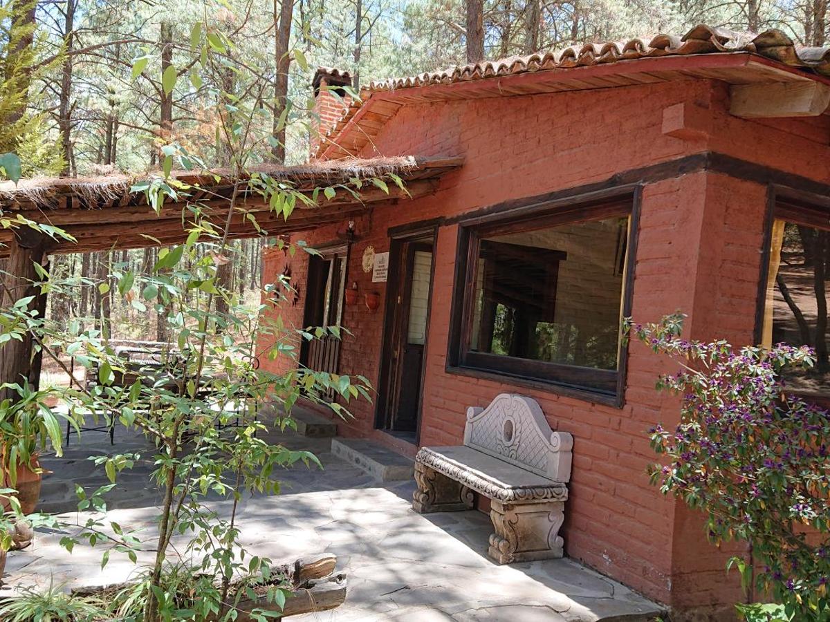 Cabañas tapalpa Sierra del Tecuan, Cabaña Tejón - Hotel en Tapalpa que acepta mascotas