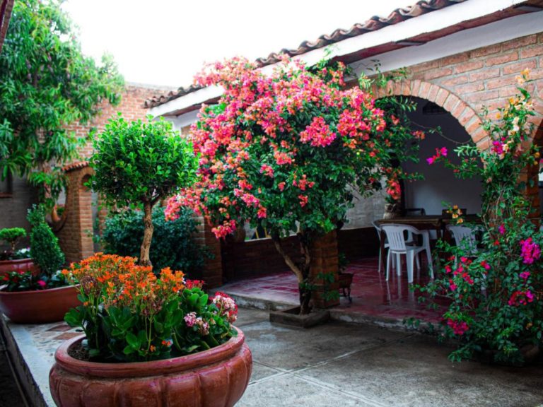 Villa Flores, casa en el centro de Mascota