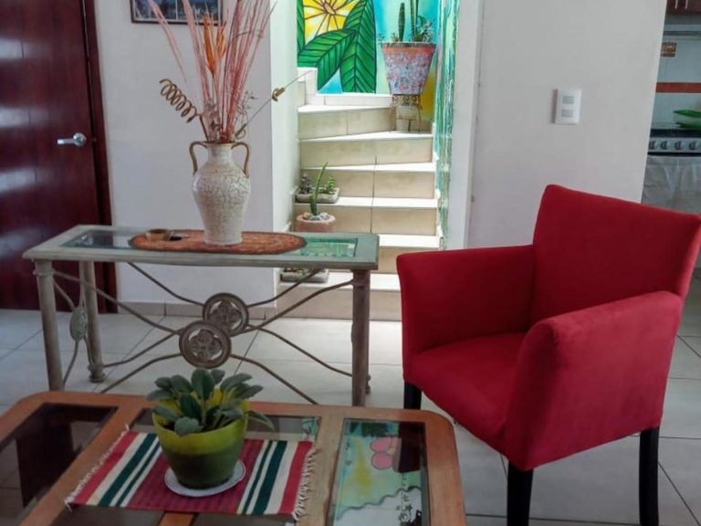 Complete Cozy House in Zacatecas City for 4 persons THE HOUSE OF PLANTS
