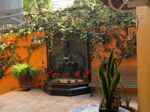 Satya Suites & Portal San Angel Flats - Hotel en Guadalupe Inn, Mexico City que acepta mascotas