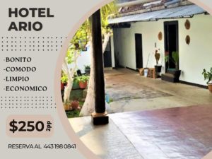 Hotel Ario es un hotel en Ario de Rosales que acepta mascotas.