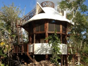 Exotic Eco House in Jungle with Private Cenote - Hotel en Tulum que acepta mascotas