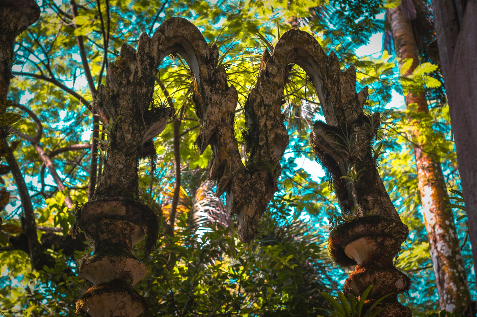 Xilitla es una opción de destino para viajar con mascotas y niños