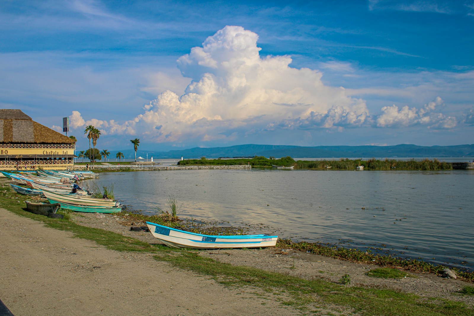 Chapala es un destino ideal para viajar con mascotas y niños.